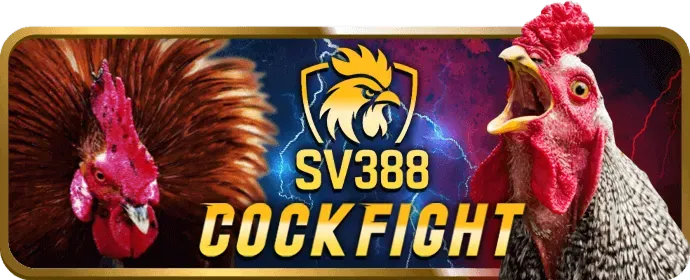 Trải Nghiệm Di Động co88 win