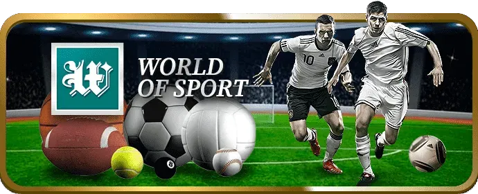 Cá cược Thể Thao co88 win